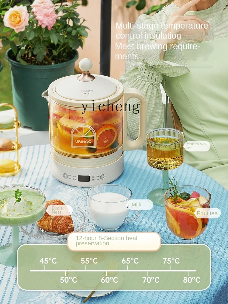 Mały, wielofunkcyjny czajnik d – Tea & Coffee Kent recenzja i cena